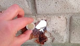 Mazowieckie. Żabia Wola na linii ognia. Sąsiad strzela, pan Bóg kule nosi