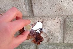 Mazowieckie. Żabia Wola na linii ognia. Sąsiad strzela, pan Bóg kule nosi