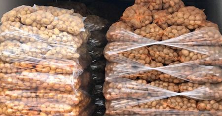 Sosnowiec. Kiełbasa wyborcza? Nie, to ziemniaki z akcji charytatywnej