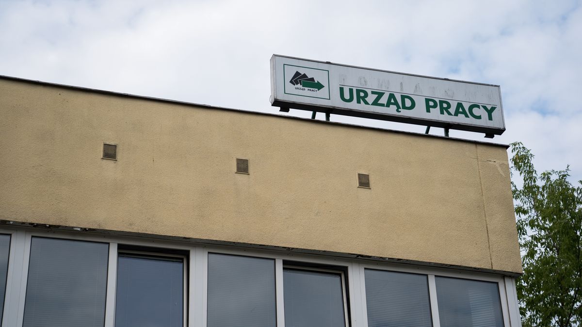 Urząd pracy 