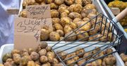 Niskie ceny młodych ziemniaków mogą zaskoczyć. "Rynek jest zapchany"