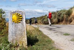 Polacy pozazdrościli Hiszpanom. Tworzą szlak pielgrzymkowy na wzór Camino de Santiago