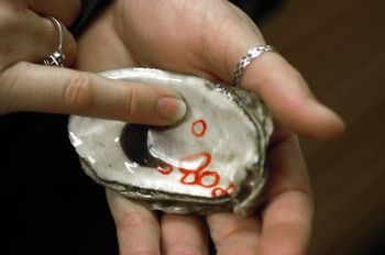 Larwy ostryg bardziej "zestresowane". Wszystko przez narkotyki