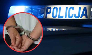 Żagań: Ukradł samochód z mężczyzną w środku. Po chwili uderzył w słup