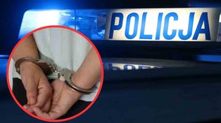 Żagań: Ukradł samochód z mężczyzną w środku. Po chwili uderzył w słup