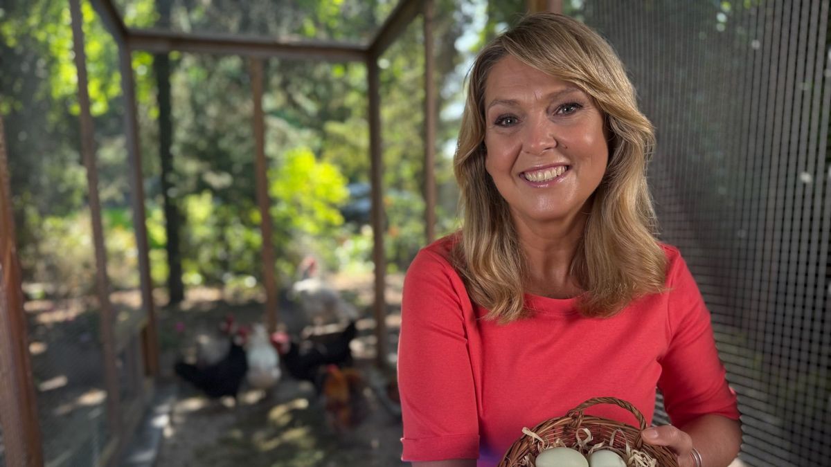 Ewa Wachowicz założyła kurnik w ogródku w Krakowie