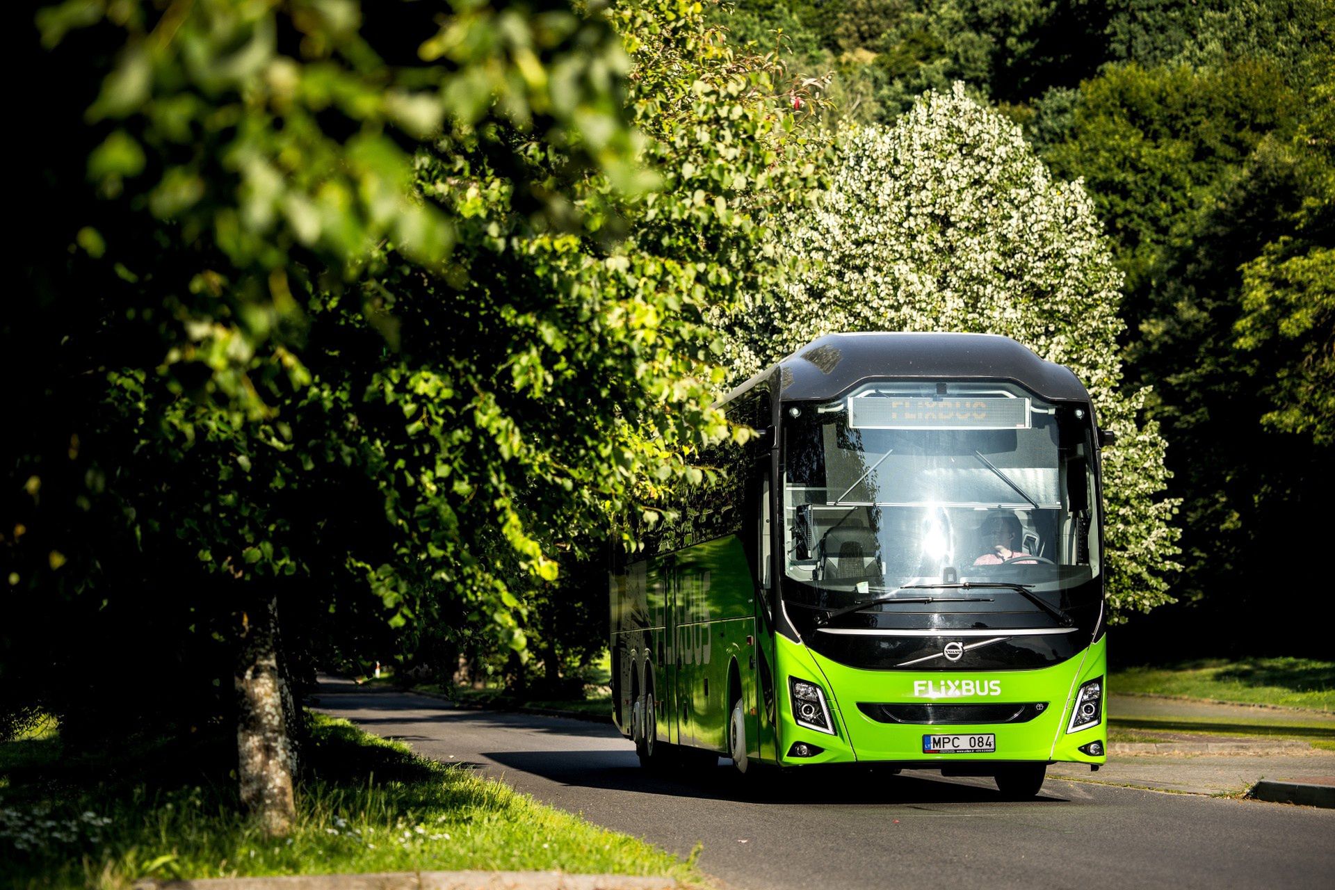 Nowe trasy FlixBusa w sezonie letnim
