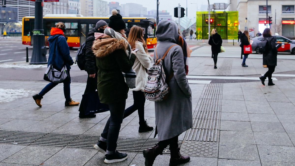 Jeśli pracodawca nie umie sprawdzić, kogo zatrudnia, nie powinien być pracodawcą – ocenia jeden z naszych rozmówców