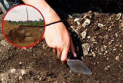 "Polskie piramidy" w Wielkopolsce. Archeolodzy oszacowali ich wiek