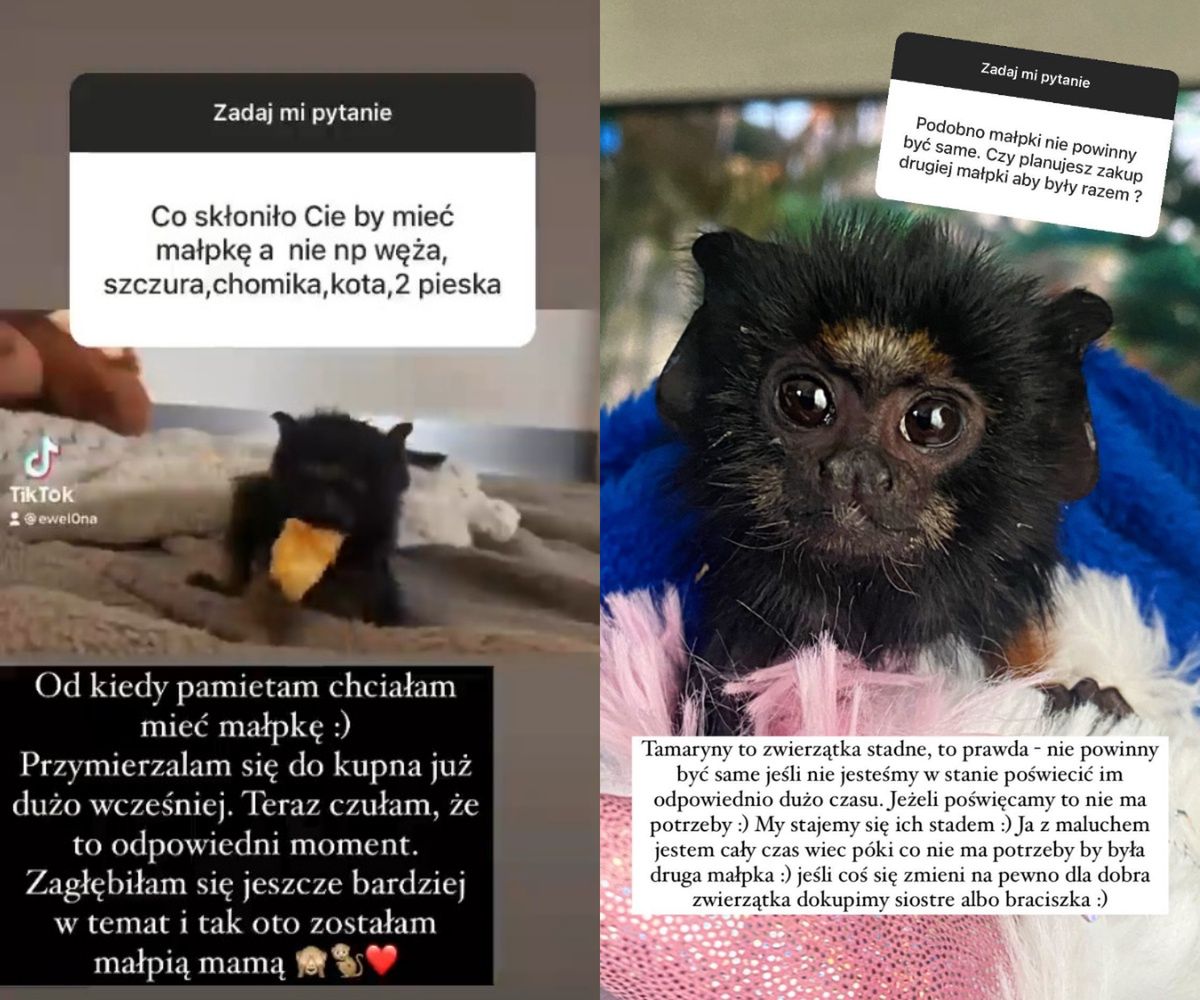 Ewel0na odpowiada na pytania fanów