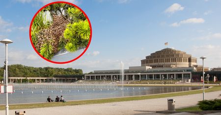 Zaskakujące zdjęcie z Wrocławia. "Tego jeszcze nie było"
