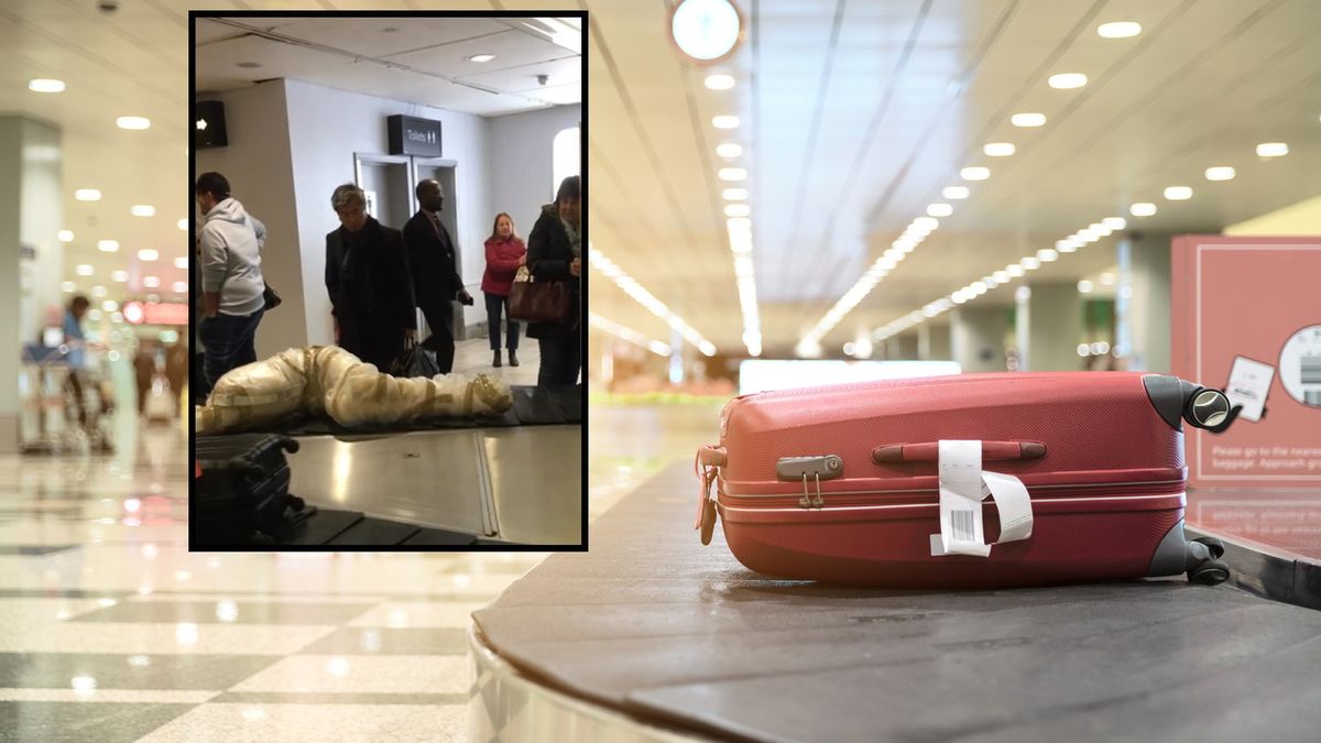 Luggage On Conveyor Belt At Airport
Luggage On Conveyor Belt At Airport
Lu ShaoJi