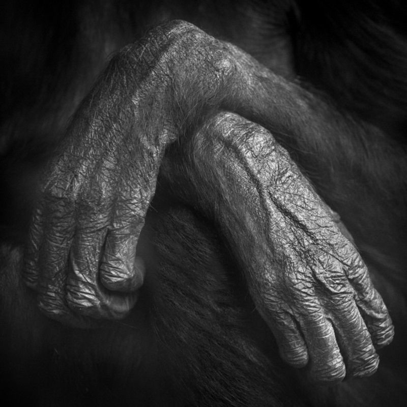 Znamy zwycięzców Black & White Spider Awards. Marek Lapis wielokrotnie wyróżniony 26