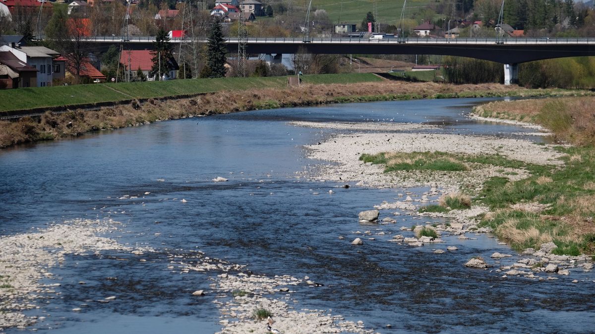 Susza w Polsce trwa. Dlatego Wody Polskie zaangażują 160 mln złotych na nowe inwestycje.