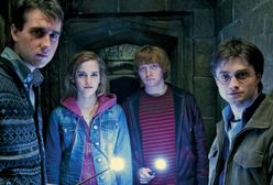 Program TV na poniedziałek 27 kwietnia - "Harry Potter i Insygnia Śmierci: Część 2", "Bez litości", "Kryptonim U.N.C.L.E."