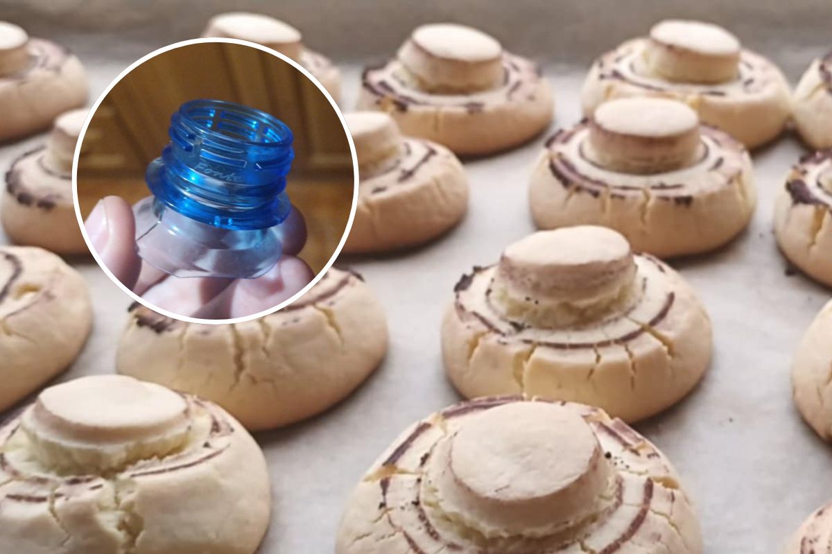 Mushroom cookies: A crispy treat with a deceptive look