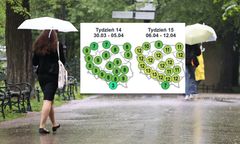 Zwrot w pogodzie. "Ponadprzeciętna suma opadów"