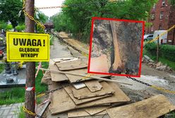 Makabra na cmentarzu na Śląsku. "Kość udowa, piszczelowa, miednica"