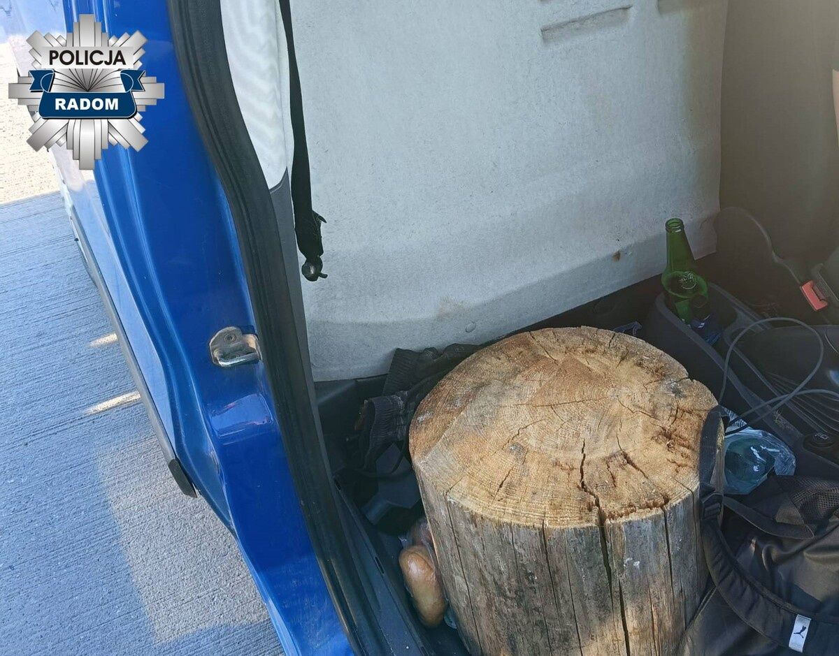 Nietypowa przejażdżka