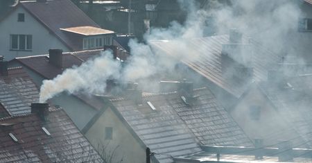 Najlepsze drewno do kominka. Daje najwięcej ciepła, nie kopci i obniża rachunki