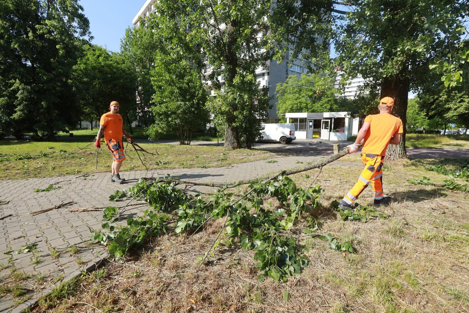 Katowice po wichurze. Osiedle Tysiąclecia wśród najbardziej poszkodowanych