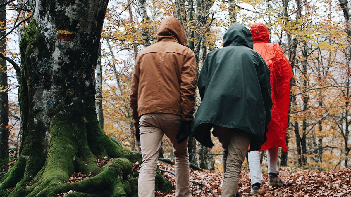 Znajdziesz je za darmo w lesie - Pyszności