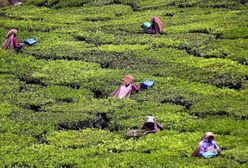 Zaskakująca konsekwencja koronawirusa w Indiach. Rosja już się martwi