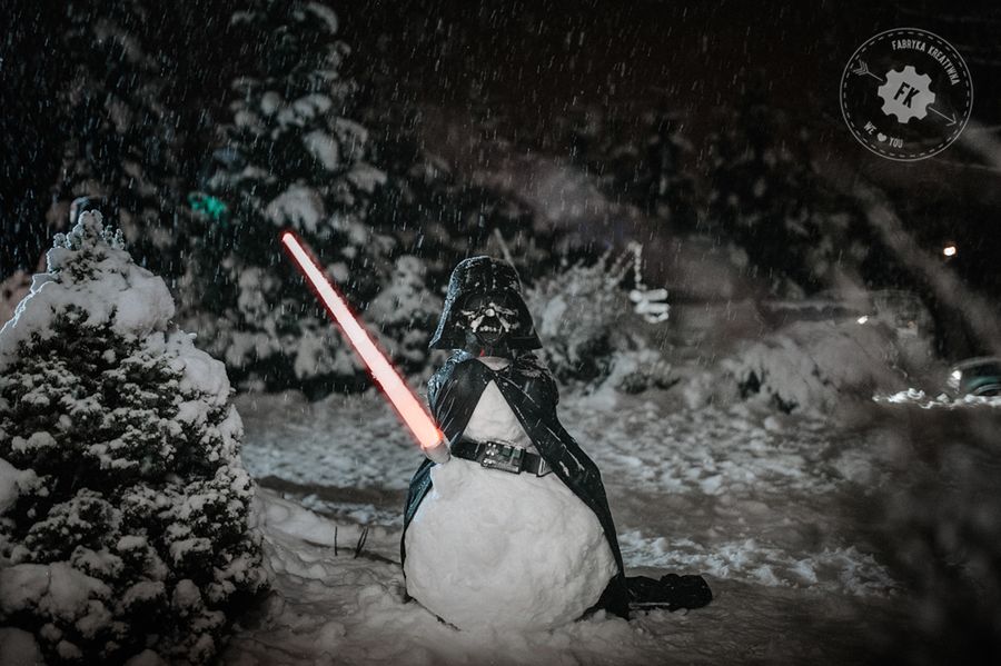Dawno, dawno temu w odległej galaktyce... odbył się ślub - zdjęcia z ceremonii w klimacie Star Wars 45