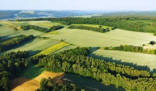 Zachwycający obszar na Lubelszczyźnie. Jego nazwy na mapie nie znajdziecie