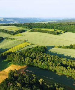 Zachwycający obszar na Lubelszczyźnie. Jego nazwy na mapie nie znajdziecie