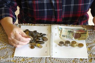 Czarny scenariusz dla kredytobiorców? "To oszczędzający mają większy problem"