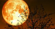 Kukurydziany Księżyc. Superpełnia i zaćmienie na raz