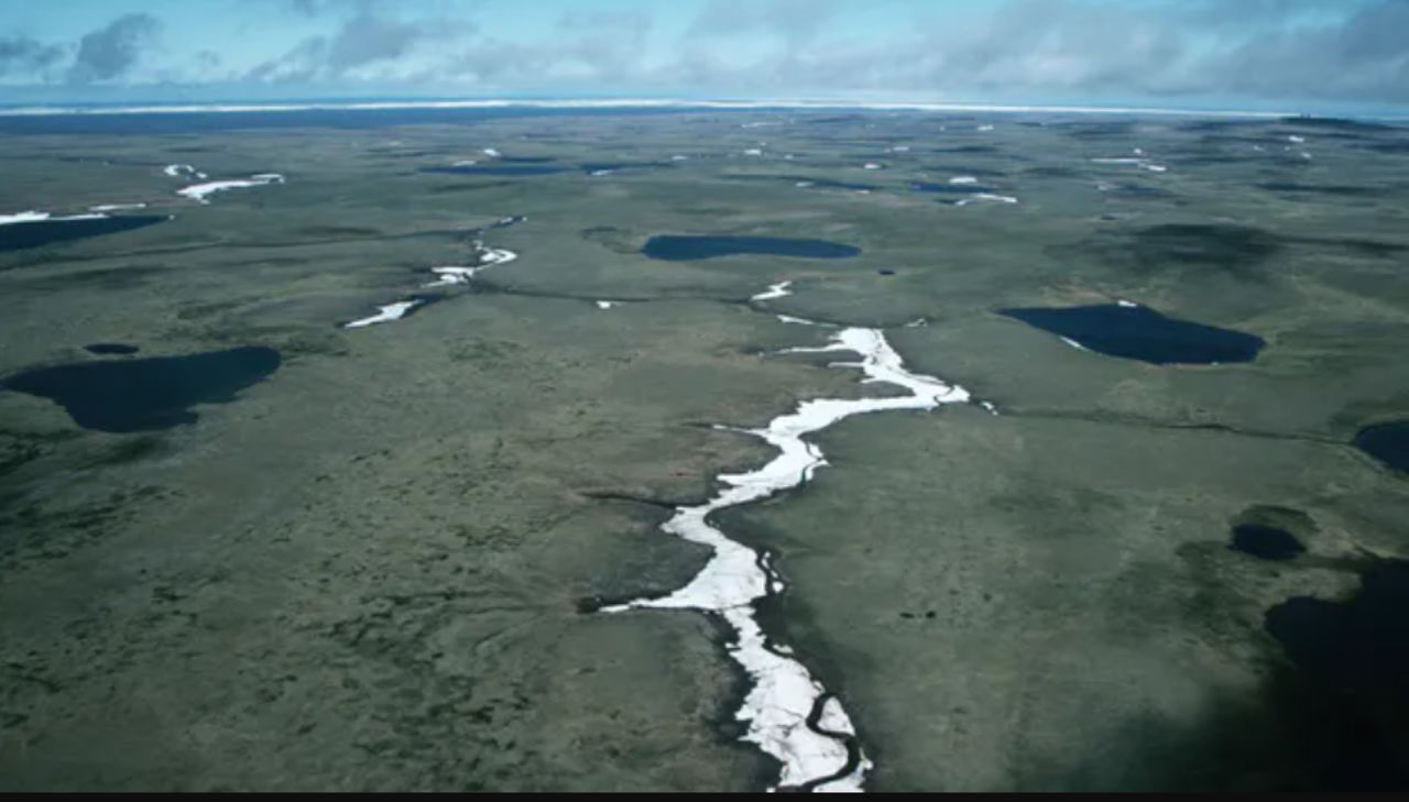 Sibirische Tundra in Gefahr: Permafrost-Schmelze bedroht Erde