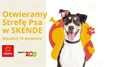 Strefa Psa w SKENDE. To pierwsze takie miejsce w Lublinie!