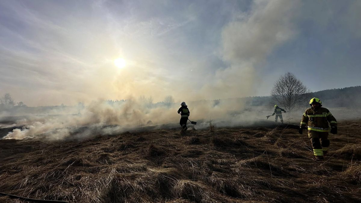 Strażacy od początku roku walczą z procederem wypalania traw