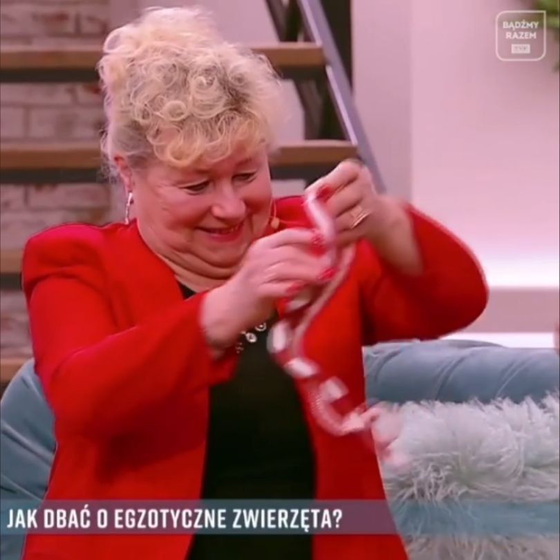 Fani oburzeniu zachowaniem Małgorzaty Tomaszewskiej podczas wizyty Haliny z "Sanatorium miłości" w "PnŚ".