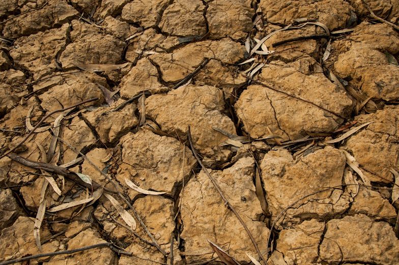 Parlament Europejski chce przeciwdziałać suszy, która dotyka państwa UE (zdjęcie ilustracyjne).