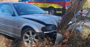 22-latek przesadził z prędkością i rozbił BMW na drzewie. Kierowca i pasażerka mieli sporo szczęścia