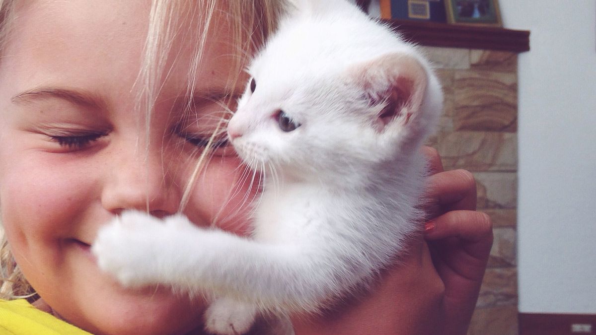 Na Ukrainie kot zasnął na twarzy 4-miesięcznego dziecka (zdj. ilustracyjne)