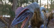 Spacer po świecie prehistorii. Najlepsze parki dinozaurów w Polsce