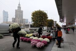 Warszawa. "Kup pan chryzantemę". Morze kwiatów w centrum stolicy