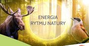 PGE Polska Grupa Energetyczna zaprasza do odwiedzania polskich parków narodowych