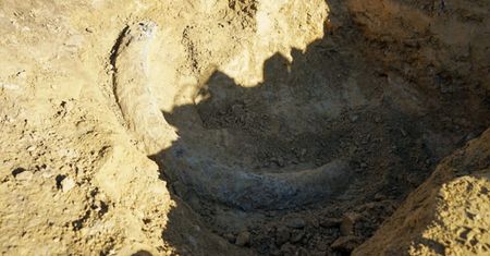 8-latek jechał rowerem. Nagle dokonał szokującego odkrycia