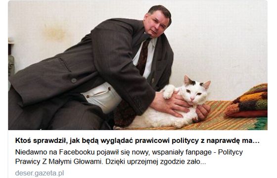 Po krytyce od internautów Gazeta.pl usunęła karykatury polityków prawicowych z małymi głowami