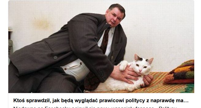 Po krytyce od internautów Gazeta.pl usunęła karykatury polityków prawicowych z małymi głowami