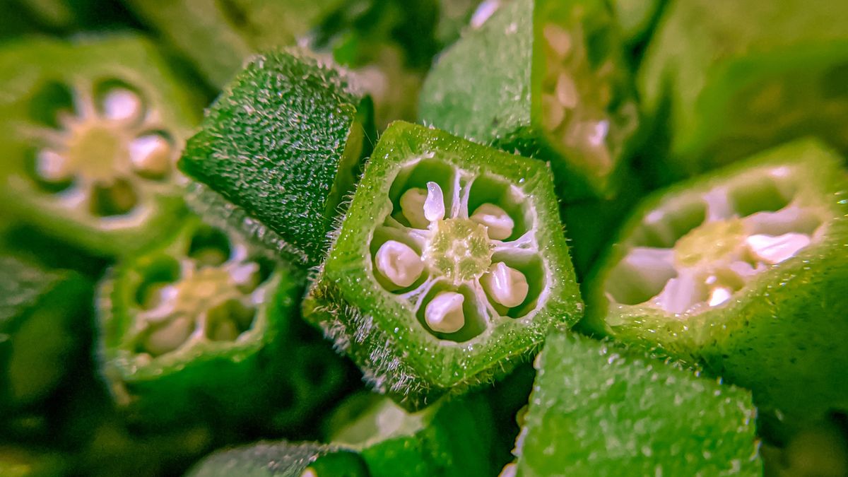Okra with seeds
Abhishek Mehta