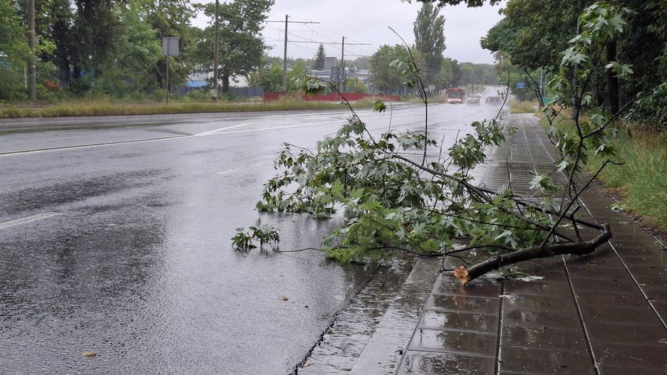 Ulewy w Częstochowie. Warta przekroczyła stan ostrzegawczy