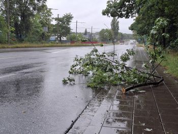 Częstochowa i okolice po ulewach. Ewakuacje obozów. Warta na poziomie ostrzegawczym