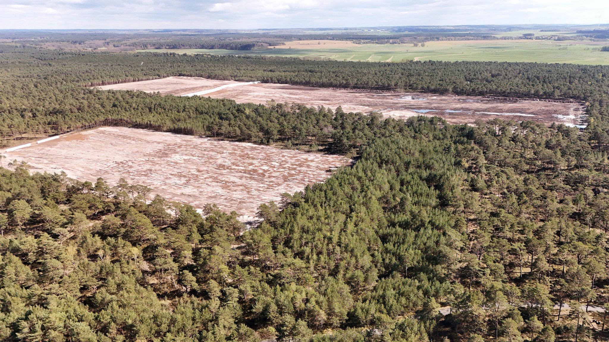 Wykarczowany las pod budowę elektrowni jądrowej w gminie Choczewo