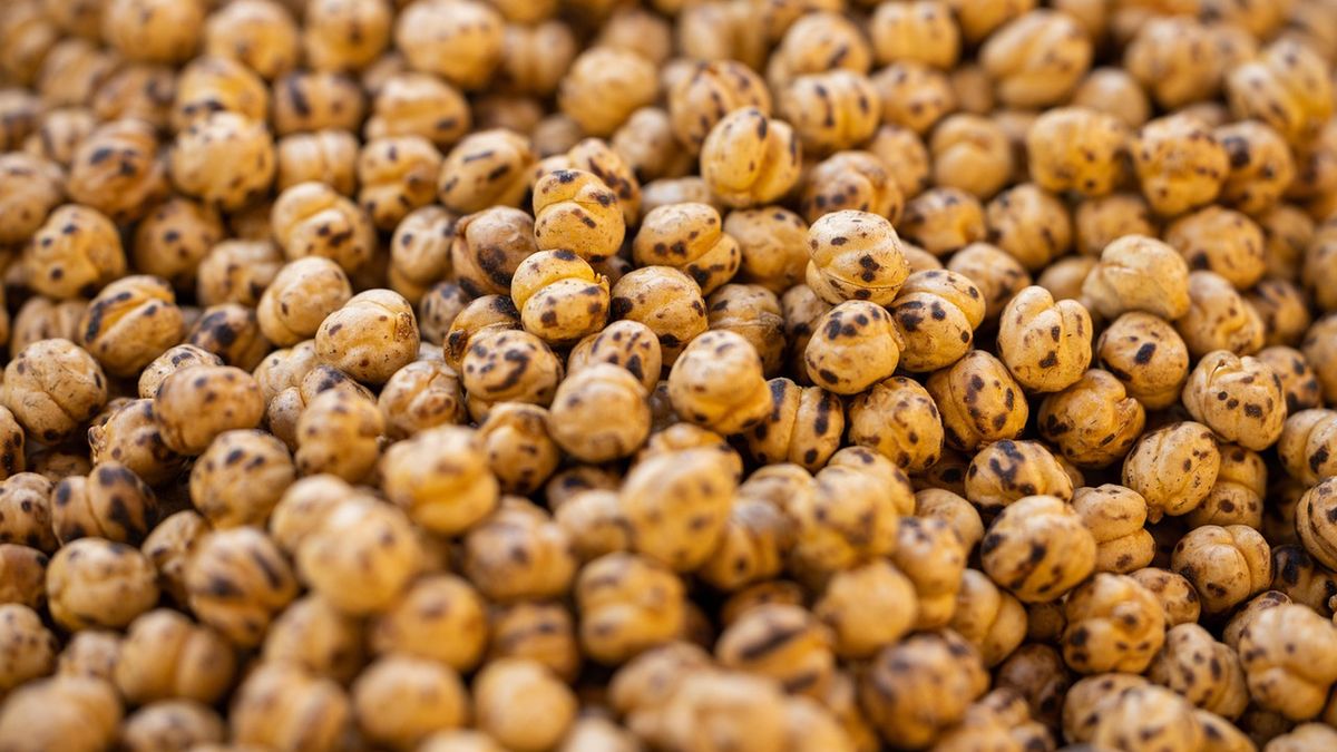 Fasola i ciecierzyca zamiast leków. Nowe badanie ujawnia ich leczniczy potencjał